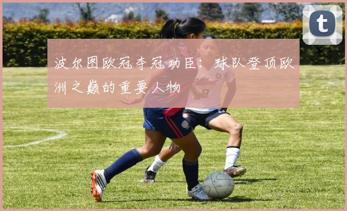 波尔图欧冠夺冠功臣：球队登顶欧洲之巅的重要人物